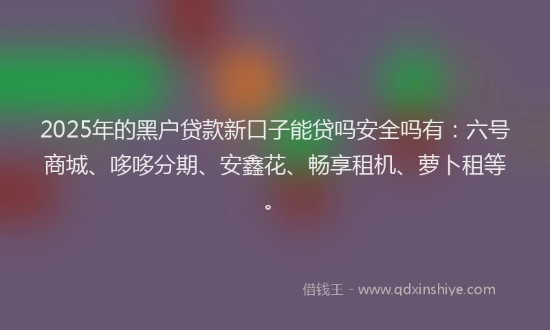 2025年的黑户贷款新口子能贷吗安全吗有：六号商城、哆哆分期、安鑫花、畅享租机、萝卜租等。