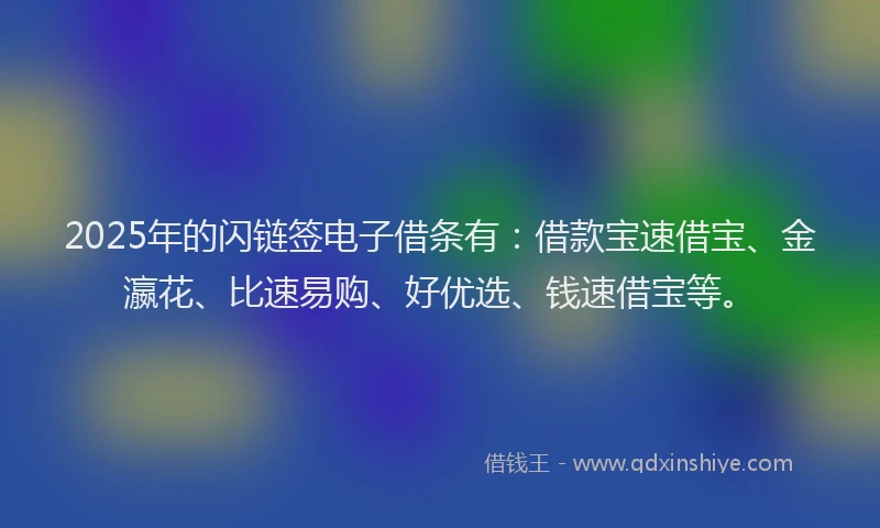 2025年的闪链签电子借条有：借款宝速借宝、金瀛花、比速易购、好优选、钱速借宝等。