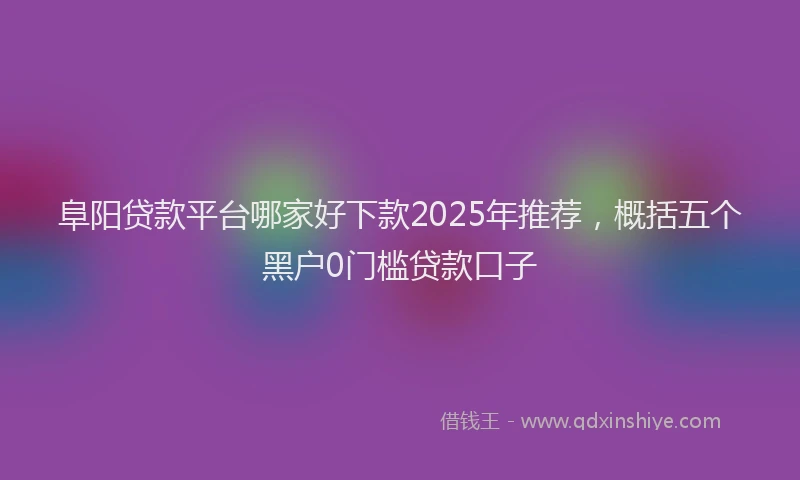 阜阳贷款平台哪家好下款2025年推荐，概括五个黑户0门槛贷款口子