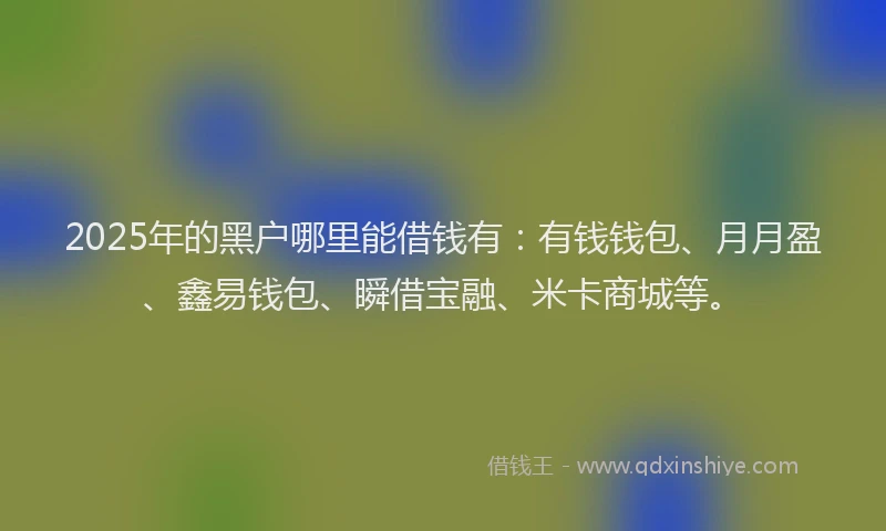 2025年的黑户哪里能借钱有：有钱钱包、月月盈、鑫易钱包、瞬借宝融、米卡商城等。