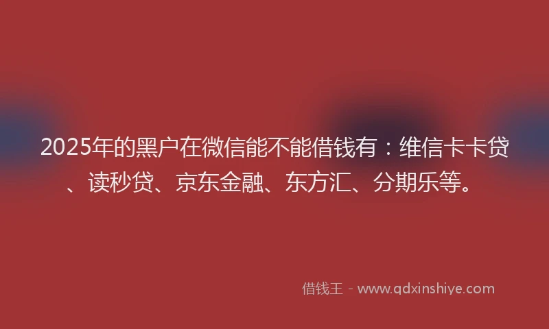 2025年的黑户在微信能不能借钱有：维信卡卡贷、读秒贷、京东金融、东方汇、分期乐等。