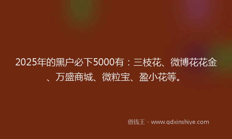 2025年的黑户必下5000有：三枝花、微博花花金、万盛商城、微粒宝、盈小花等。