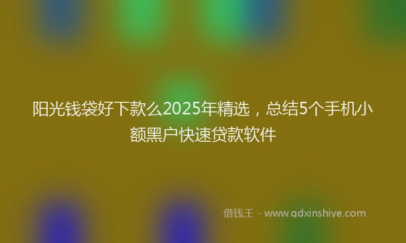 阳光钱袋好下款么2025年精选，总结5个手机小额黑户快速贷款软件