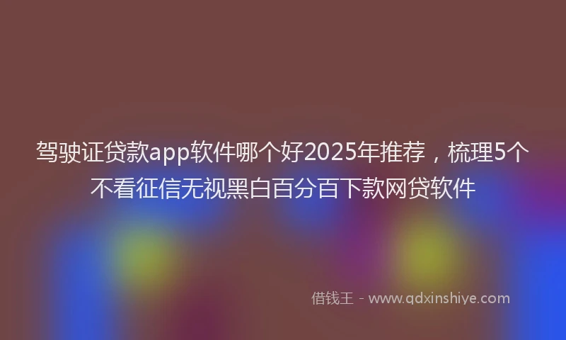 驾驶证贷款app软件哪个好2025年推荐，梳理5个不看征信无视黑白百分百下款网贷软件