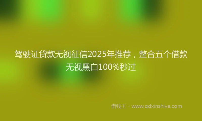 驾驶证贷款无视征信2025年推荐，整合五个借款无视黑白100%秒过