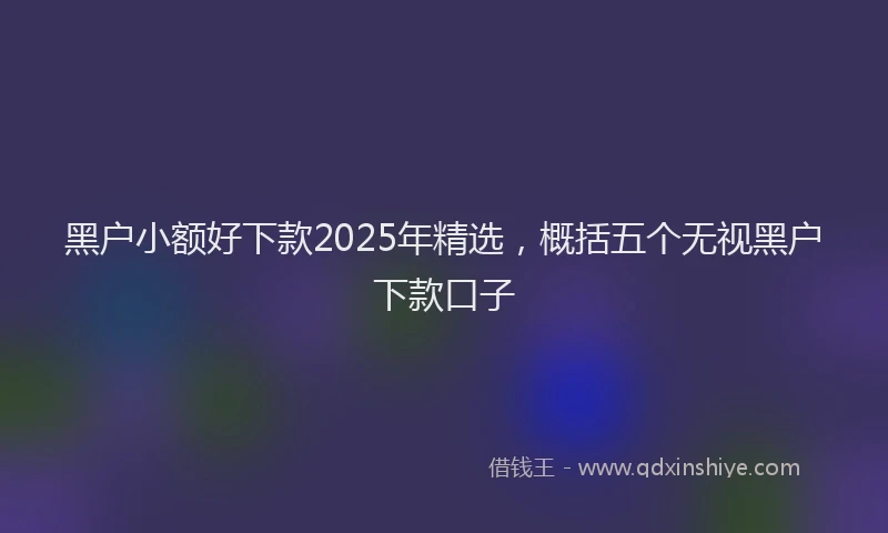 黑户小额好下款2025年精选，概括五个无视黑户下款口子