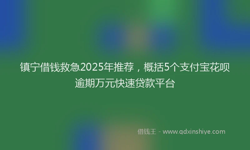 镇宁借钱救急2025年推荐，概括5个支付宝花呗逾期万元快速贷款平台