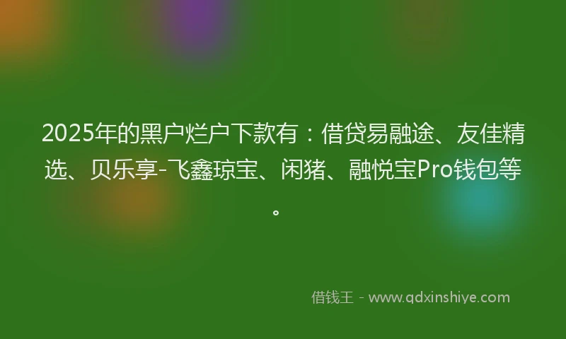 2025年的黑户烂户下款有：借贷易融途、友佳精选、贝乐享-飞鑫琼宝、闲猪、融悦宝Pro钱包等。