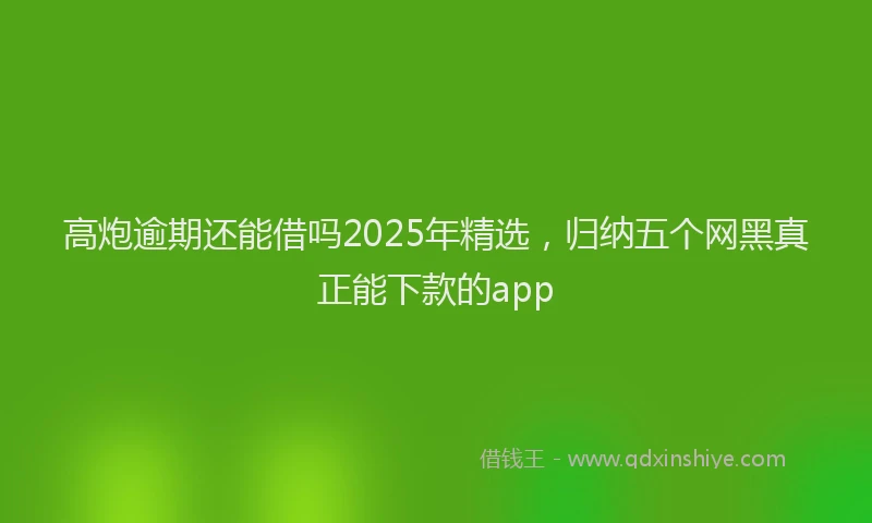 高炮逾期还能借吗2025年精选，归纳五个网黑真正能下款的app