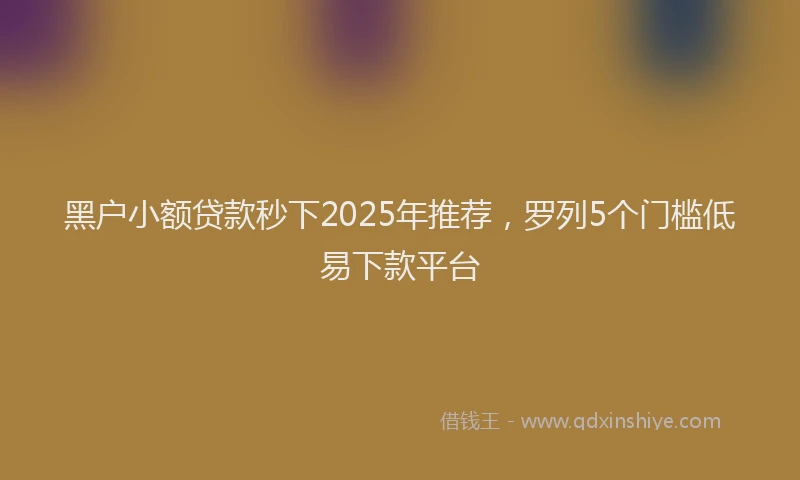 黑户小额贷款秒下2025年推荐，罗列5个门槛低易下款平台