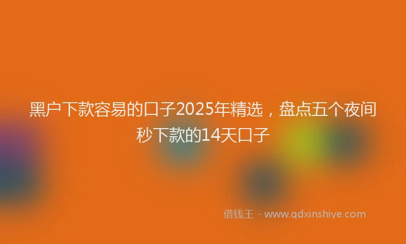 黑户下款容易的口子2025年精选，盘点五个夜间秒下款的14天口子