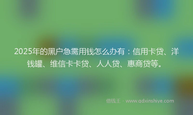 2025年的黑户急需用钱怎么办有：信用卡贷、洋钱罐、维信卡卡贷、人人贷、惠商贷等。