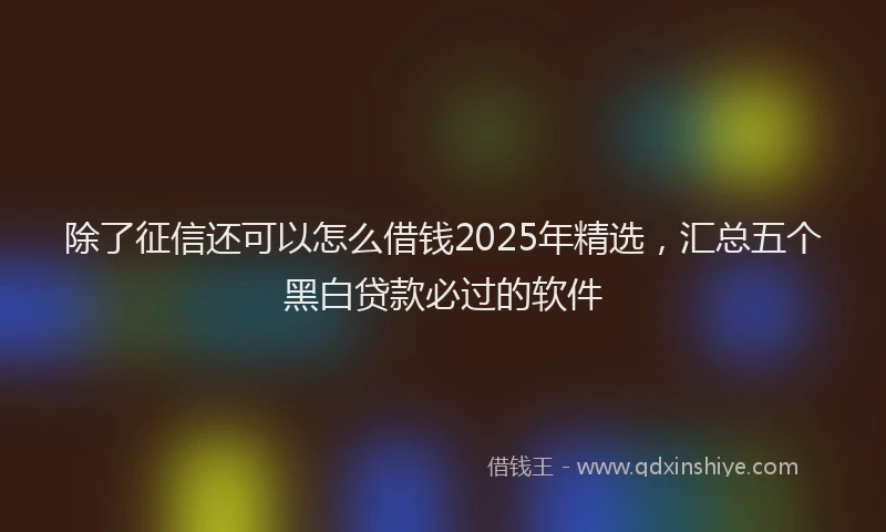 除了征信还可以怎么借钱2025年精选，汇总五个黑白贷款必过的软件