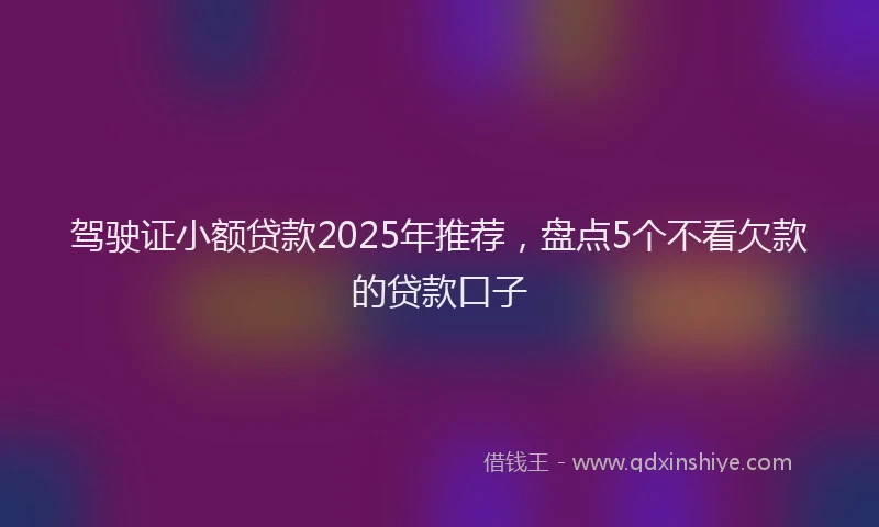 驾驶证小额贷款2025年推荐，盘点5个不看欠款的贷款口子