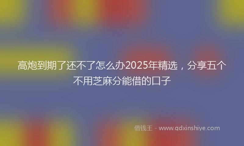 高炮到期了还不了怎么办2025年精选，分享五个不用芝麻分能借的口子