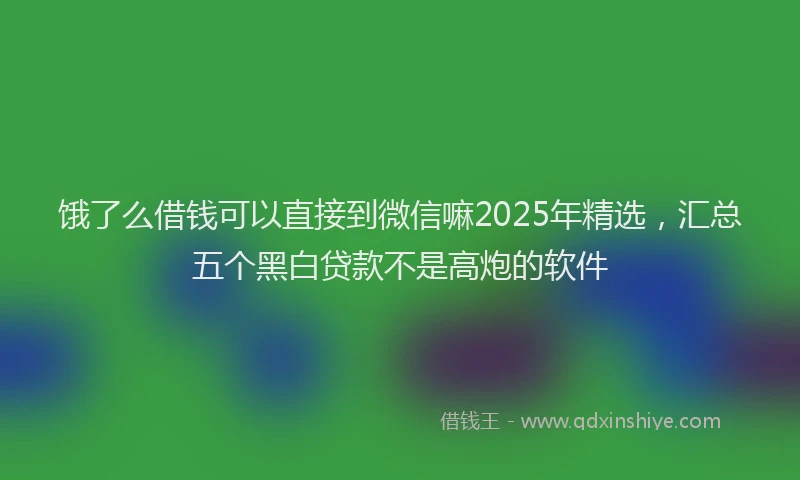饿了么借钱可以直接到微信嘛2025年精选，汇总五个黑白贷款不是高炮的软件