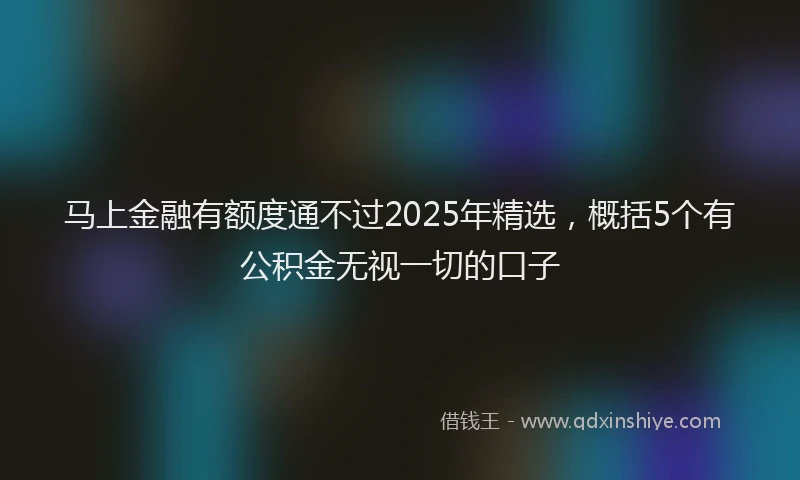 马上金融有额度通不过2025年精选，概括5个有公积金无视一切的口子