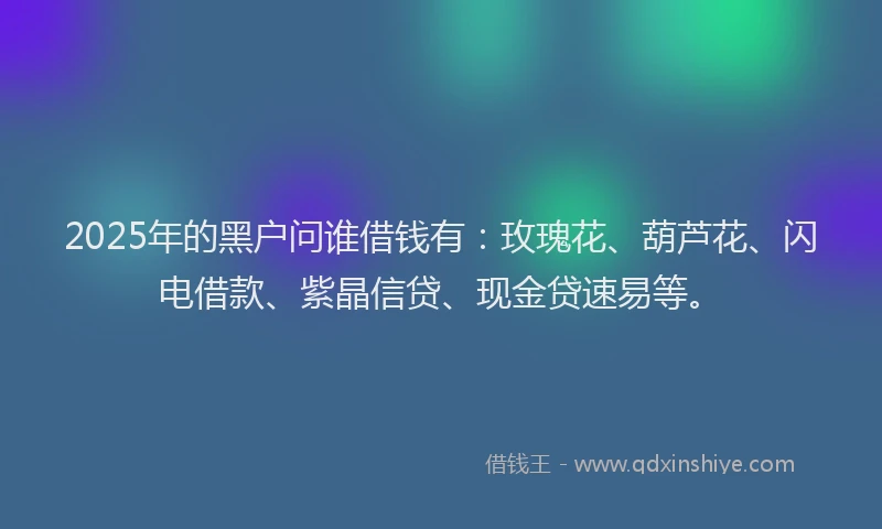 2025年的黑户问谁借钱有：玫瑰花、葫芦花、闪电借款、紫晶信贷、现金贷速易等。