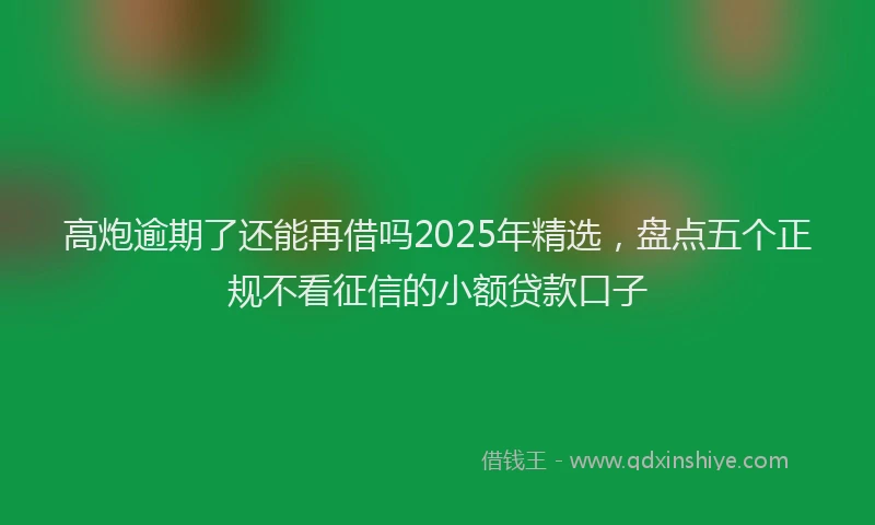 高炮逾期了还能再借吗2025年精选，盘点五个正规不看征信的小额贷款口子