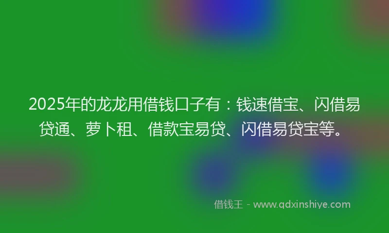 2025年的龙龙用借钱口子有：钱速借宝、闪借易贷通、萝卜租、借款宝易贷、闪借易贷宝等。