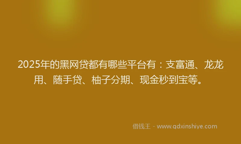 2025年的黑网贷都有哪些平台有：支富通、龙龙用、随手贷、柚子分期、现金秒到宝等。