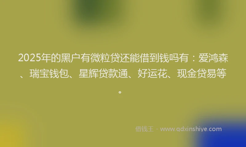 2025年的黑户有微粒贷还能借到钱吗有:爱鸿森、瑞宝钱包、星辉贷款通、好运花、现金贷易等。
