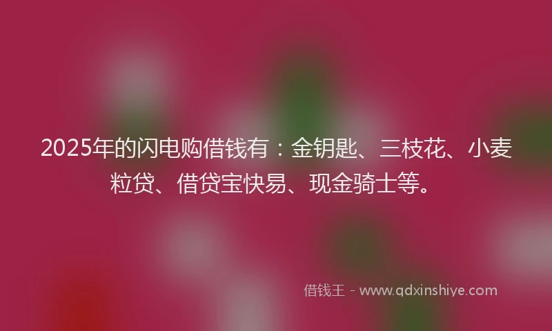 2025年的闪电购借钱有：金钥匙、三枝花、小麦粒贷、借贷宝快易、现金骑士等。
