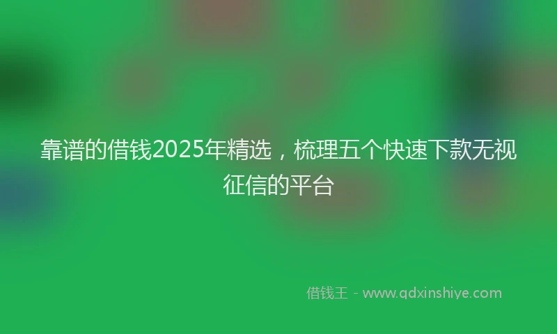 靠谱的借钱2025年精选，梳理五个快速下款无视征信的平台