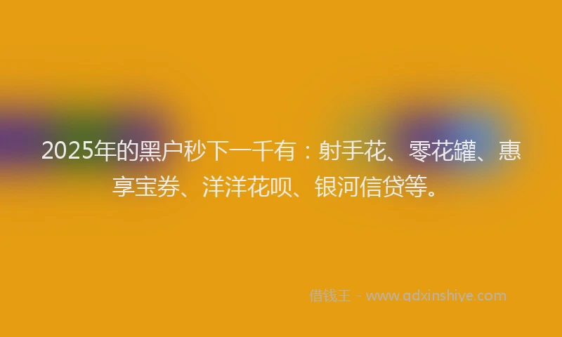 2025年的黑户秒下一千有：射手花、零花罐、惠享宝券、洋洋花呗、银河信贷等。