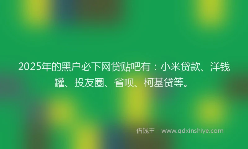 2025年的黑户必下网贷贴吧有：小米贷款、洋钱罐、投友圈、省呗、柯基贷等。