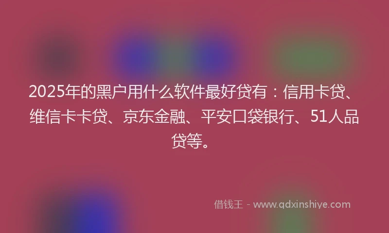 2025年的黑户用什么软件最好贷有：信用卡贷、维信卡卡贷、京东金融、平安口袋银行、51人品贷等。
