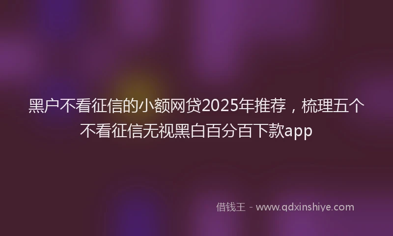 黑户不看征信的小额网贷2025年推荐，梳理五个不看征信无视黑白百分百下款app