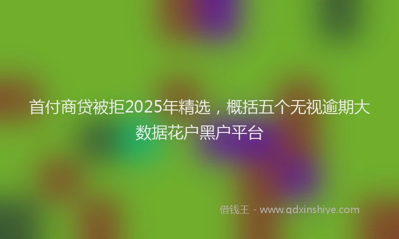 首付商贷被拒2025年精选，概括五个无视逾期大数据花户黑户平台