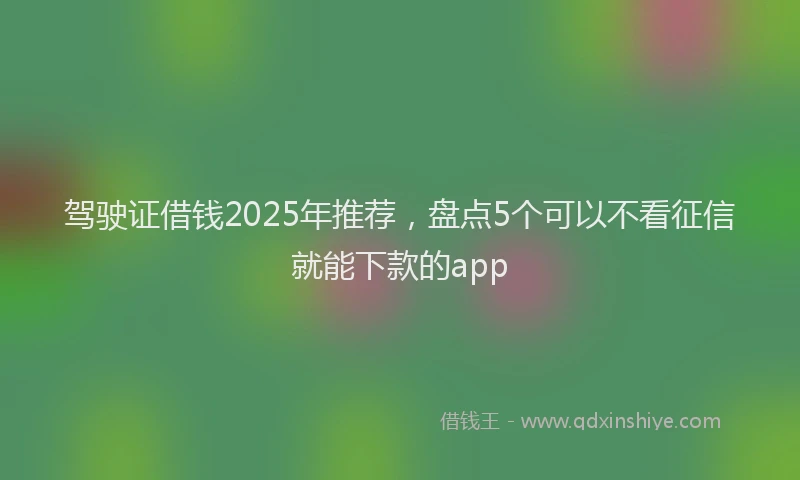 驾驶证借钱2025年推荐，盘点5个可以不看征信就能下款的app