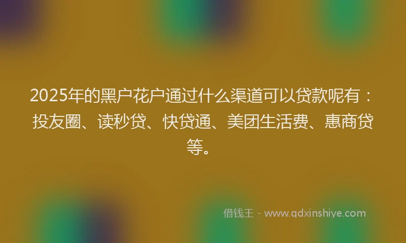 2025年的黑户花户通过什么渠道可以贷款呢有：投友圈、读秒贷、快贷通、美团生活费、惠商贷等。