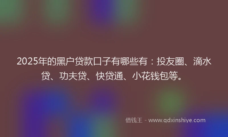 2025年的黑户贷款口子有哪些有：投友圈、滴水贷、功夫贷、快贷通、小花钱包等。