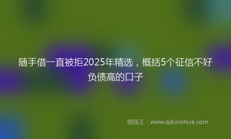 随手借一直被拒2025年精选，概括5个征信不好负债高的口子