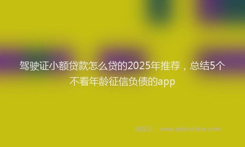驾驶证小额贷款怎么贷的2025年推荐，总结5个不看年龄征信负债的app