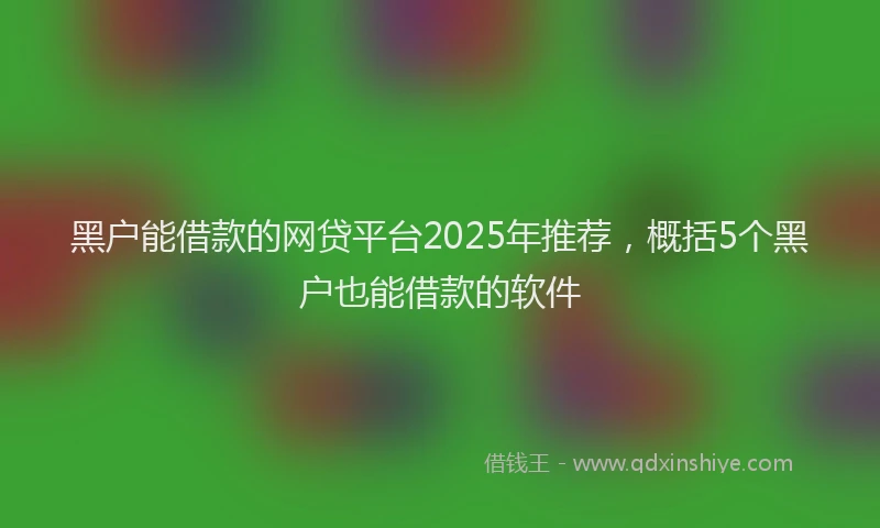黑户能借款的网贷平台2025年推荐，概括5个黑户也能借款的软件