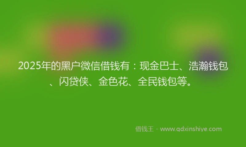 2025年的黑户微信借钱有：现金巴士、浩瀚钱包、闪贷侠、金色花、全民钱包等。