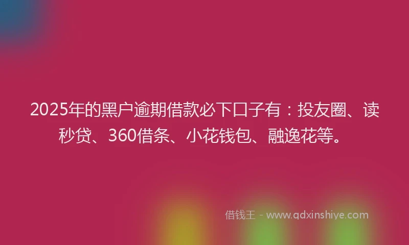 2025年的黑户逾期借款必下口子有：投友圈、读秒贷、360借条、小花钱包、融逸花等。