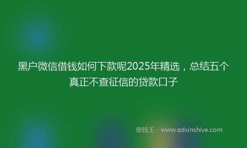 黑户微信借钱如何下款呢2025年精选，总结五个真正不查征信的贷款口子
