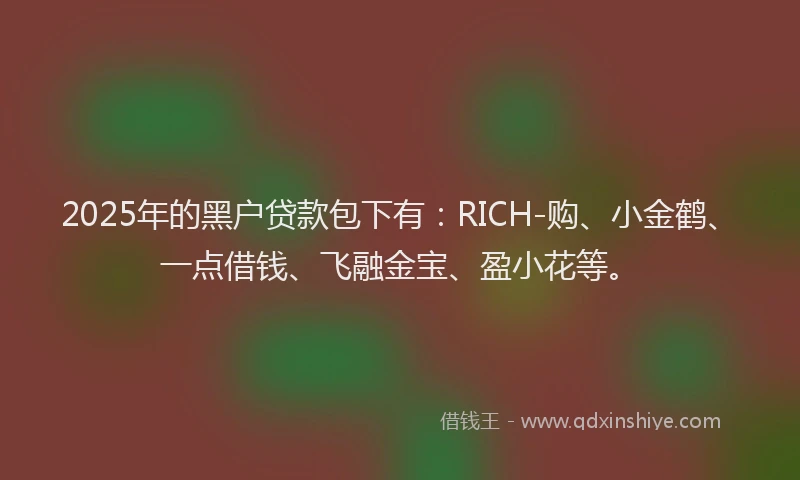 2025年的黑户贷款包下有：RICH-购、小金鹤、一点借钱、飞融金宝、盈小花等。