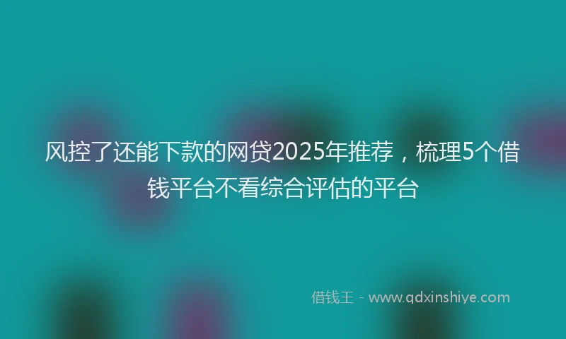 风控了还能下款的网贷2025年推荐，梳理5个借钱平台不看综合评估的平台