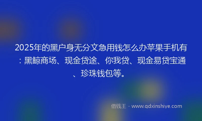 2025年的黑户身无分文急用钱怎么办苹果手机有：黑鲸商场、现金贷途、你我贷、现金易贷宝通、珍珠钱包等。