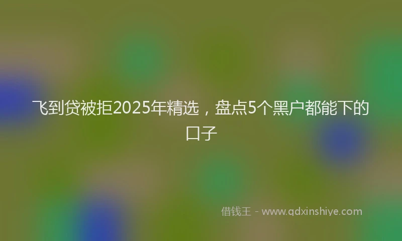 飞到贷被拒2025年精选，盘点5个黑户都能下的口子
