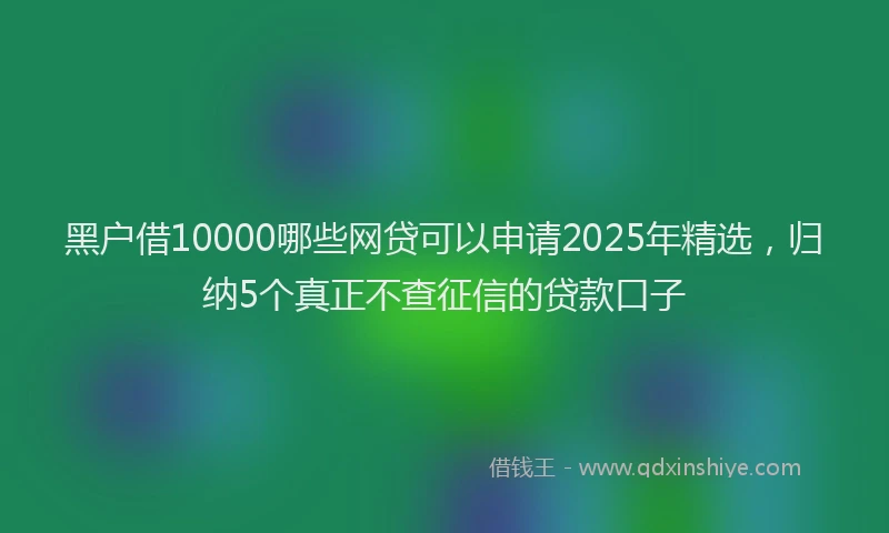 黑户借10000哪些网贷可以申请2025年精选，归纳5个真正不查征信的贷款口子