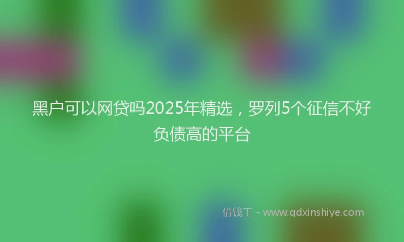 黑户可以网贷吗2025年精选，罗列5个征信不好负债高的平台