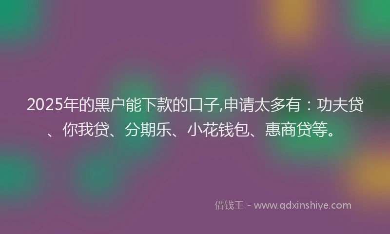 2025年的黑户能下款的口子,申请太多有：功夫贷、你我贷、分期乐、小花钱包、惠商贷等。