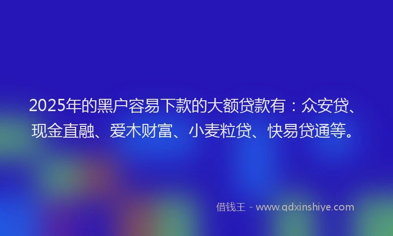 2025年的黑户容易下款的大额贷款有：众安贷、现金直融、爱木财富、小麦粒贷、快易贷通等。